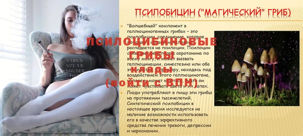 ALPHA-PVP Алексеевка
