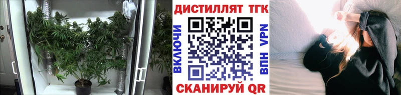 Дистиллят ТГК гашишное масло Олонец