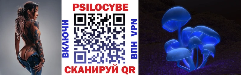как найти закладки  Олонец  Галлюциногенные грибы Psilocybe 